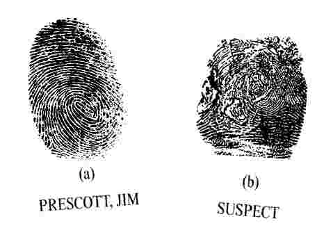 fingerprints